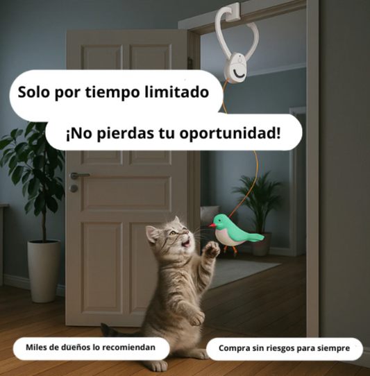 Juguete pájaro saltarín para mascotas